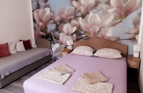 Skaljari Apartment | Vicky Apartments