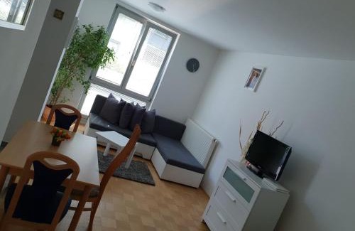 Ljubljana Apartment | Victoria Apartment