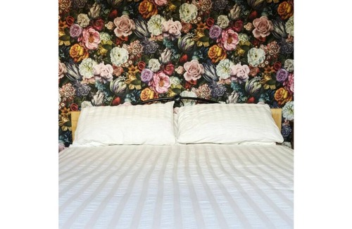 Wellington Bed & Breakfast | Victorian Guesthouse in the heart of Wellington