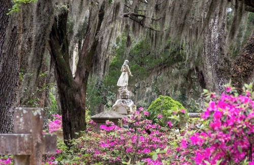 Dixon Park House | Victorian Townhouse in Savannah!