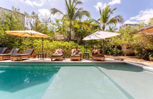 Zona Hotelera Cabin | Vida Silvestre