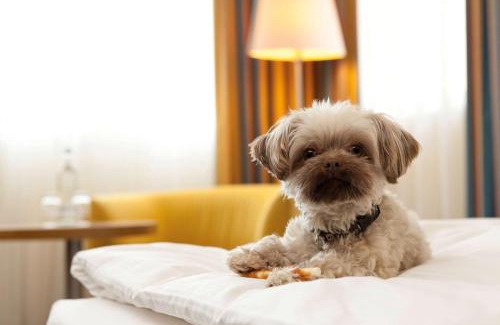 Old Town Hotel | Vienna House by Wyndham Baltic Stralsund