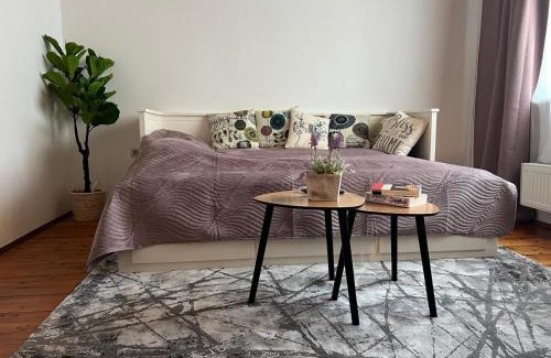 Traiskirchen Apartment | Vienna Touch Apartments Number 1