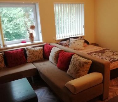 Kintai Apartment | Vieno kambario butas