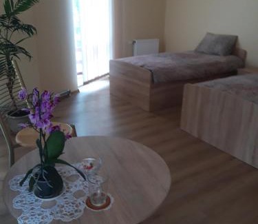 Ventspils House | Viesu nams KARPATI