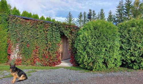 Pieriga House | Viesumāja Kuncīši Murjāņos