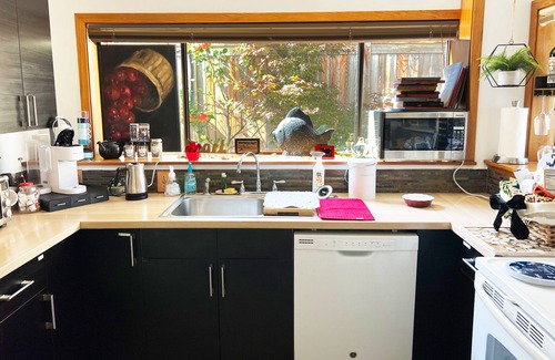 Alki Apartment | View 1-bedroom apartment in marvelous Seattle with private HotTub, A/C, sleeps 5