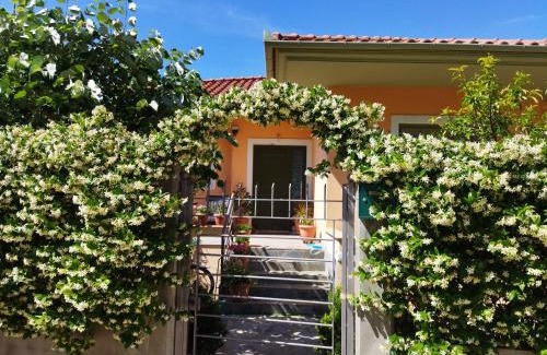Agria House | View House