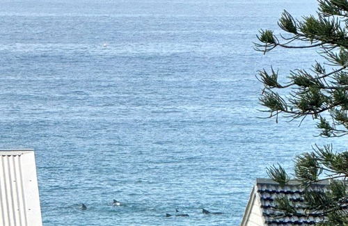 Central Coast House | Views Beach, Lake & Dunes -The Entrance Nth. Enjoy hot tub & 80m stroll to beach
