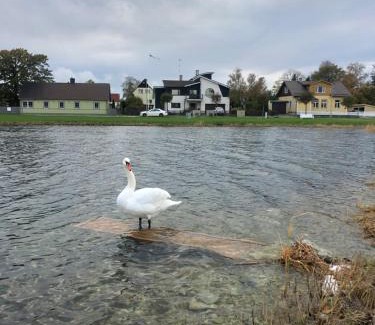 Haapsalu Villa | Viigi Villa