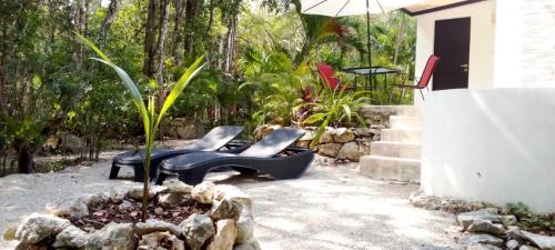 Tulum City Center House | Viila Ixchel jungle pool