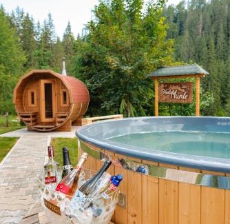 Toplita House | ViiLa Munte Călimani