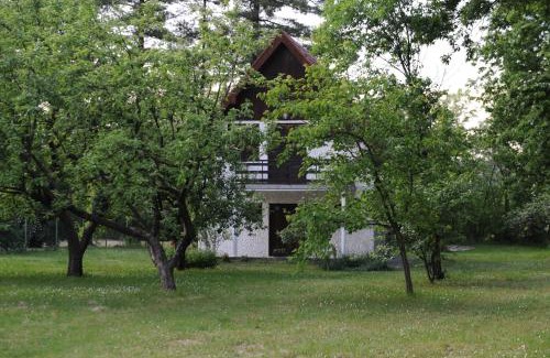 Central Serbia House | Vikend-kuca Vevericji Kraj