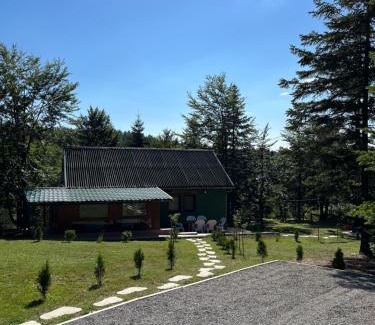 Mionica House | Vikendica Marković