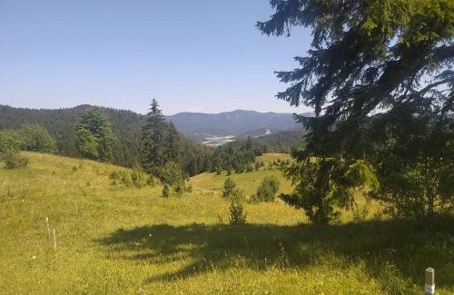 Tara National Park House | Vikendica Studenac