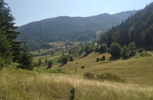 Tara National Park House | Vikendica Studenac
