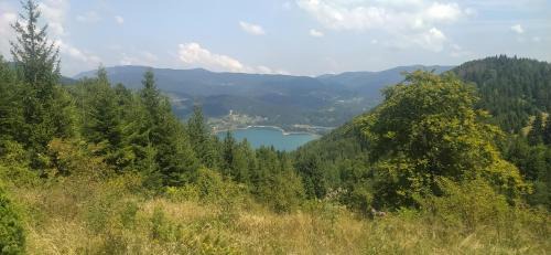 Tara National Park House | Vikendica Studenac