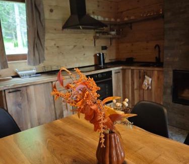 Mitrovac Apartment | Vikendice Dream