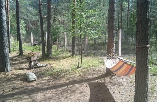 Krasno House | Viking House (Yagodnoye)