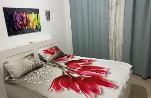 Camyuva Apartment | Viking Republic