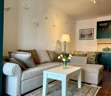 Donja Kostanjica Apartment | vikka Boka