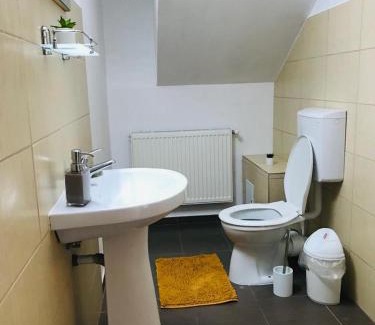 Hateg House | Vila Ţara Haţegului