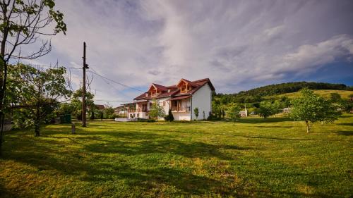 Hateg House | Vila Ţara Haţegului