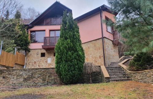 Drienica Villa | Vila Almini Drienica Lysa