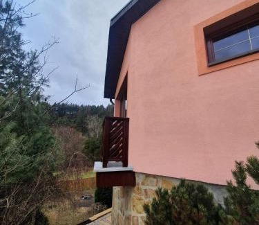 Drienica Villa | Vila Almini Drienica Lysa