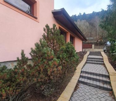 Drienica Villa | Vila Almini Drienica Lysa