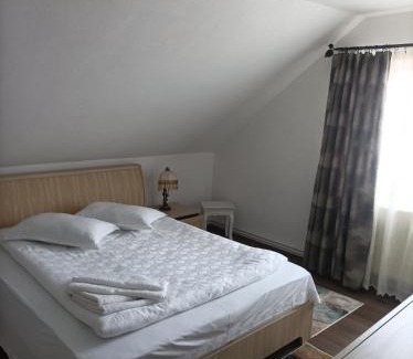 Baile Olanesti House | Vila Alpina Olănești