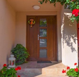 Baile Olanesti House | Vila Andrei