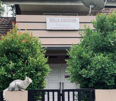 Bukittinggi House | Vila Anggur Pintukabun