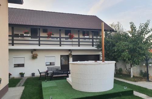 Sanmartin House | Vila Ardelean