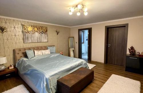 Hunedoara House | Vila Aura