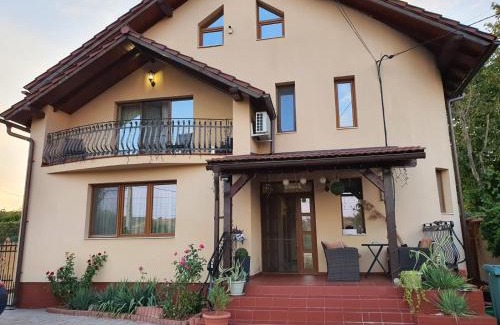 Hunedoara House | Vila Aura