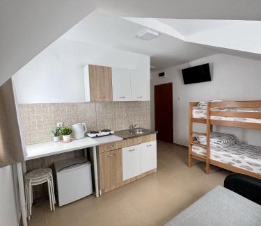 Brzece Apartment | Vila Aurora Gondola Kopaonik, 50m od Gondole Brzece