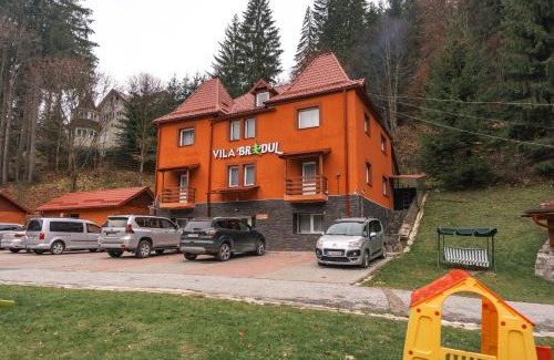 Lacu Rosu Bed & Breakfast | Vila Bradul