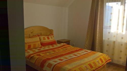 Ciocanesti House | Vila Bucovina
