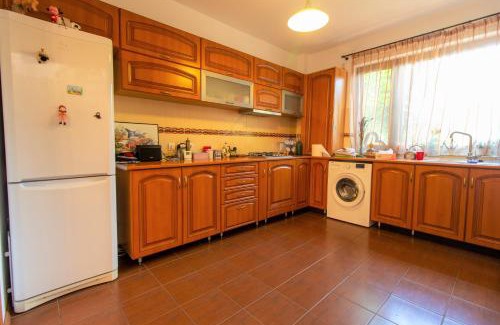 Campina Villa | Vila cu Mesteceni
