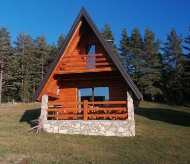 Njegovuđa House | Vila Dajana Zminica