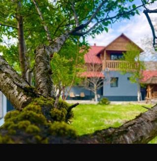 Viseu de Jos House | Vila din Grădină