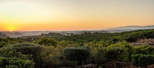 Silves Villa | Vila Dria