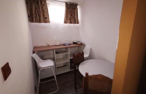 Piatra Neamt House | vila elly