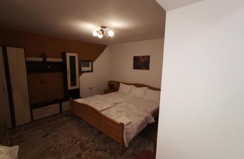Piatra Neamt House | vila elly