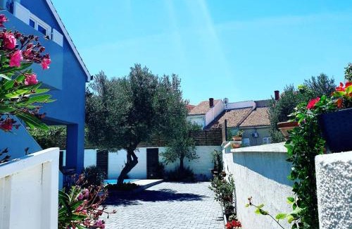 Murter Villa | Vila Ena