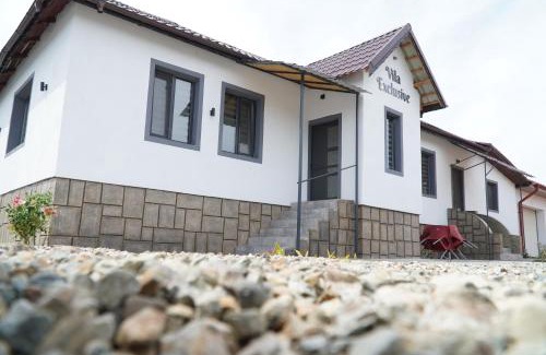 Tirgu Jiu Apartment | Vila Exclusive