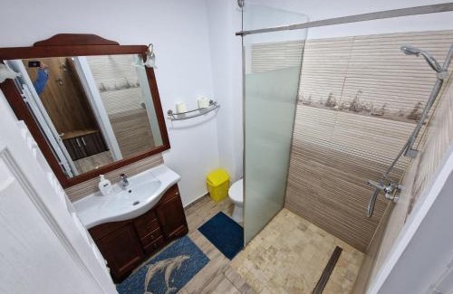Murighiol House | Vila Flavius