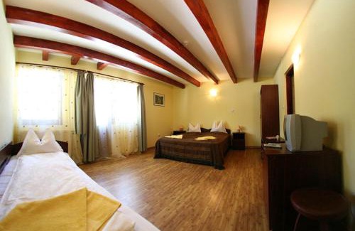 Lacu Rosu Villa | Vila Gal