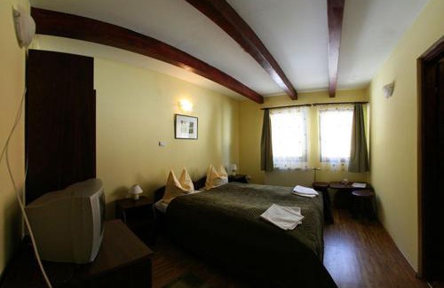 Lacu Rosu Villa | Vila Gal